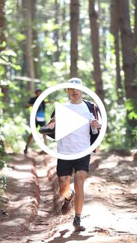 BIB:  <button type="button" onclick="openModal(26569317)" class="btn btn-primary btn-sm float-right" data-toggle="modal" data-target=".modal-high-quality">
                <i class="fa fa-download"></i> Download
                </button>